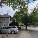 Public Trees at 175 Clark Rd