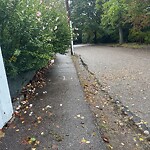 Sidewalk Obstruction at 71 Upland Rd