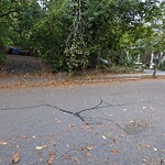 Sidewalk Obstruction at 22 Oakland Rd