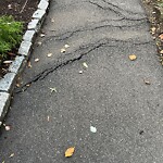 Sidewalk Repair at 40 Winchester St