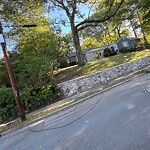 Sidewalk Obstruction at 79 Wolcott Rd, Chestnut Hill