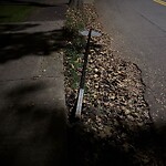 Damaged Sign at 405 Clinton Rd