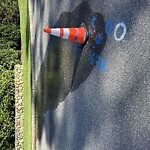 Water and Sewer at 7 Cutler Ln, Chestnut Hill 02467
