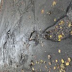 Pothole at 328 Mason Terr