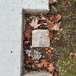 Sidewalk Repair at 383 Russett Rd, Chestnut Hill