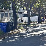 Trash/Recycling at 18 Winslow Rd