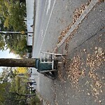 Trash/Recycling at 785 Washington St