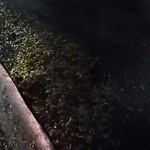 Water and Sewer at 3 Greenough Cir