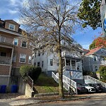 Public Trees at 42.34 N 71.13 W