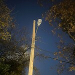 Streetlight at 24 New Terrace Rd