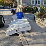 Trash/Recycling at 81 Franklin St