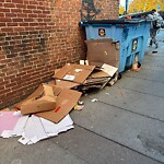 Trash/Recycling at 308 Harvard St