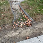 Water and Sewer at 100 Eliot St, Chestnut Hill