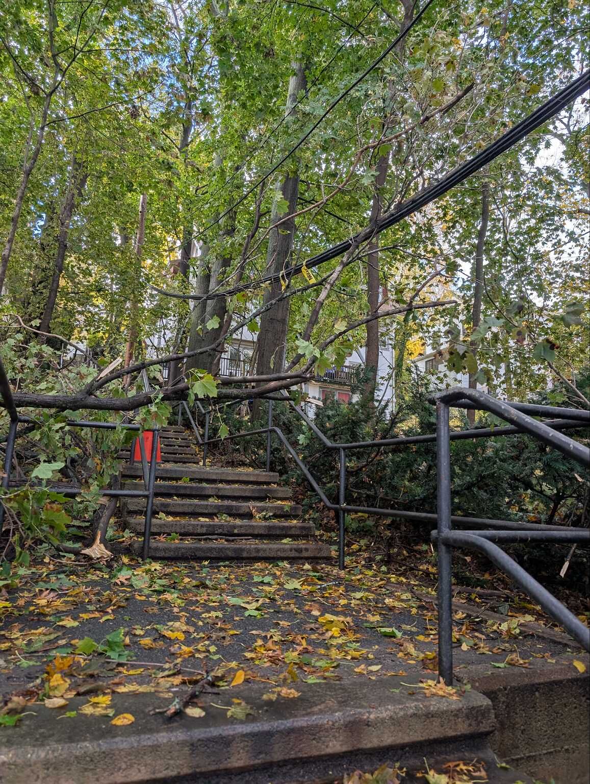 Photo_20251031_091802