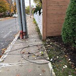 Other at 48 Auburn St