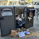 Trash/Recycling at 312 Harvard St