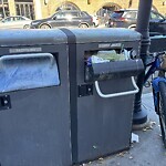 Trash/Recycling at 294 Harvard St