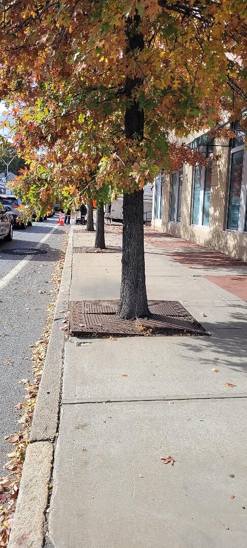 Bronl_323boylston_10-29-2025