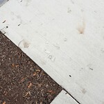 Sidewalk Obstruction at 50 Westbourne Terr