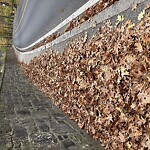 Sidewalk Obstruction at Pond Ave