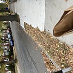 Parking Ticket at 39 Lawton St