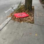 Trash/Recycling at 53–71 School St