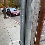 Graffiti at 1–7 Netherlands Rd