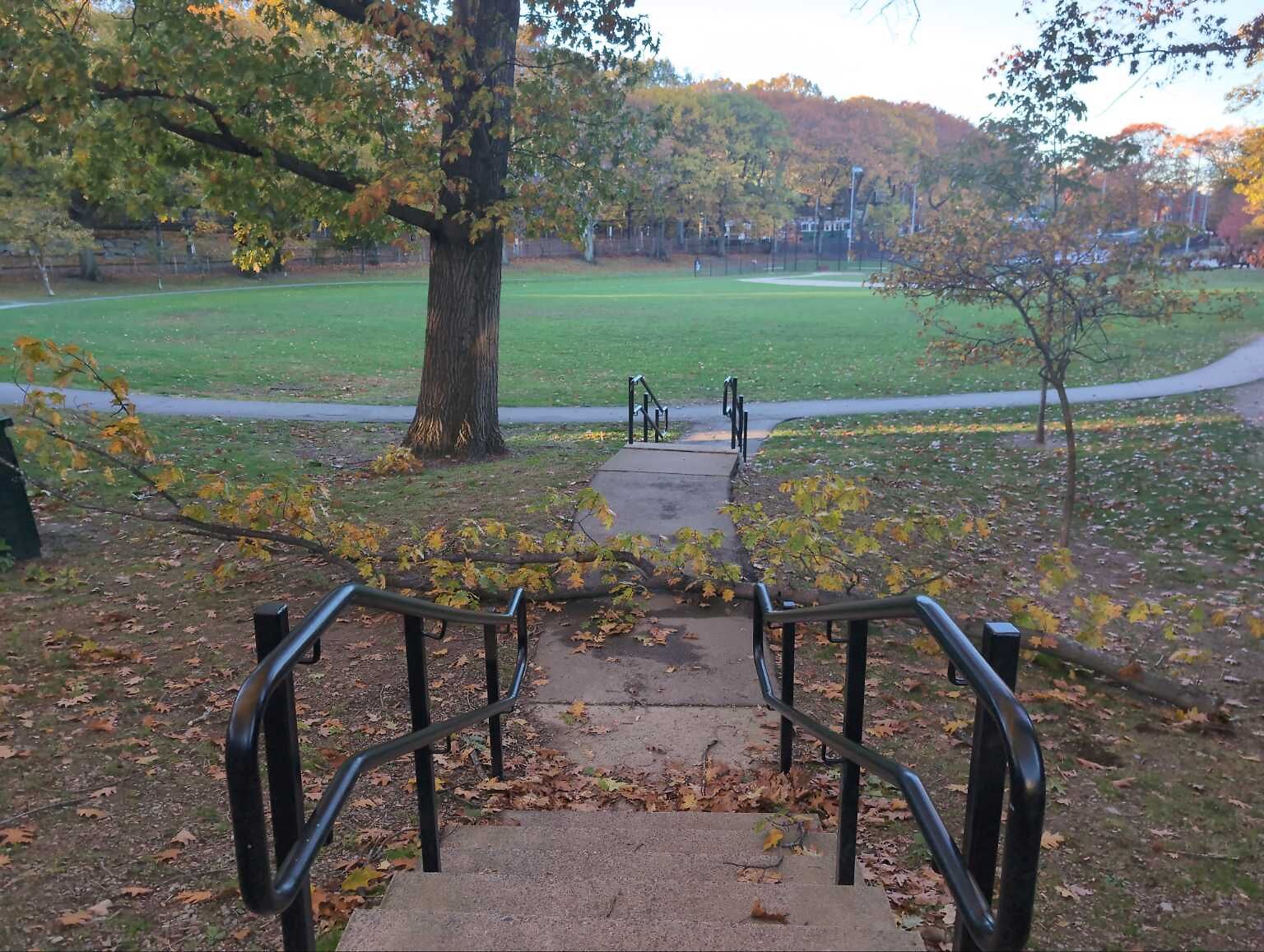 Photo_20251104_070652