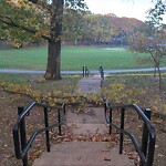 Public Trees at 02481, 1 Strathmore Rd