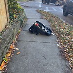 Trash/Recycling at 46–62 Dummer St