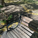 Graffiti at 42.35 N 71.12 W