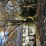 Public Trees at 83 Craftsland Rd, Chestnut Hill