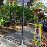 Other at 19 Waverly St