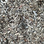 Dead Animals at 1–99 Ackers Terr