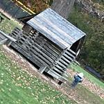 Rodent Issues at 2–98 Ackers Terr