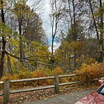 Sidewalk Obstruction at 42.305N 71.159W