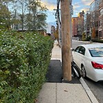 Sidewalk Obstruction at 63–69 Stearns Rd