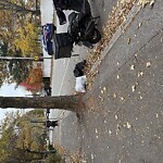 Sidewalk Obstruction at 785 Washington St