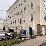 Trash/Recycling at 7 Smythe St