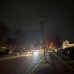 Streetlight at 1020 W Roxbury Pkwy, Chestnut Hill