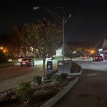 Streetlight at Putterham Cir, Chestnut Hill