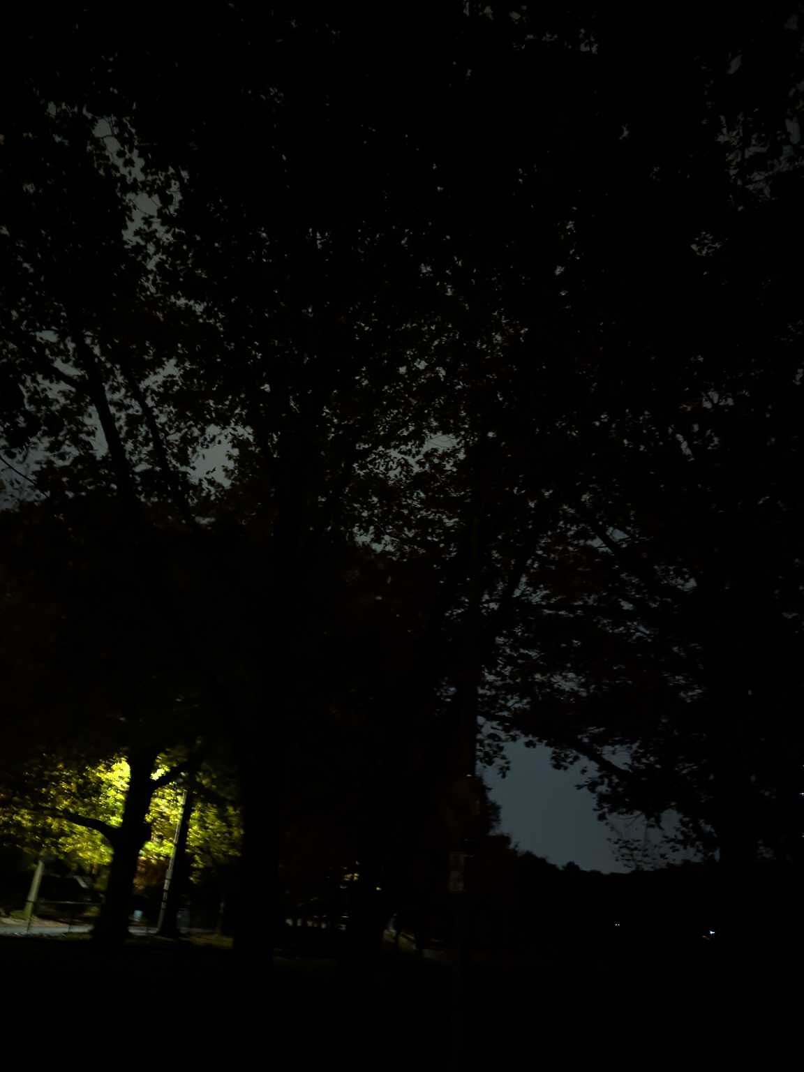 Photo_20251107_222011