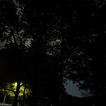 Streetlight at 68 Jamaica Rd