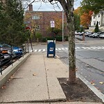 Sidewalk Repair at 42.34 N 71.12 W