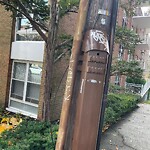 Graffiti at 100 Marion St