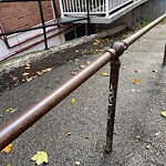 Graffiti at 100 Marion St