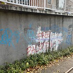 Graffiti at 100 Marion St