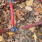 Park Playground at Winthrop Square/Minot Rose Garden, St. Paul St, Brookline 02446