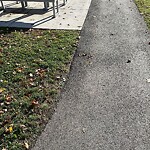 Park Playground at 72–80 Franklin St