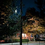 Streetlight at N42.35 E71.13